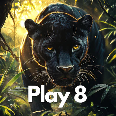 Play8